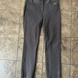 J. Crew Factory Light Gray Frankie Chino Pants Size 8