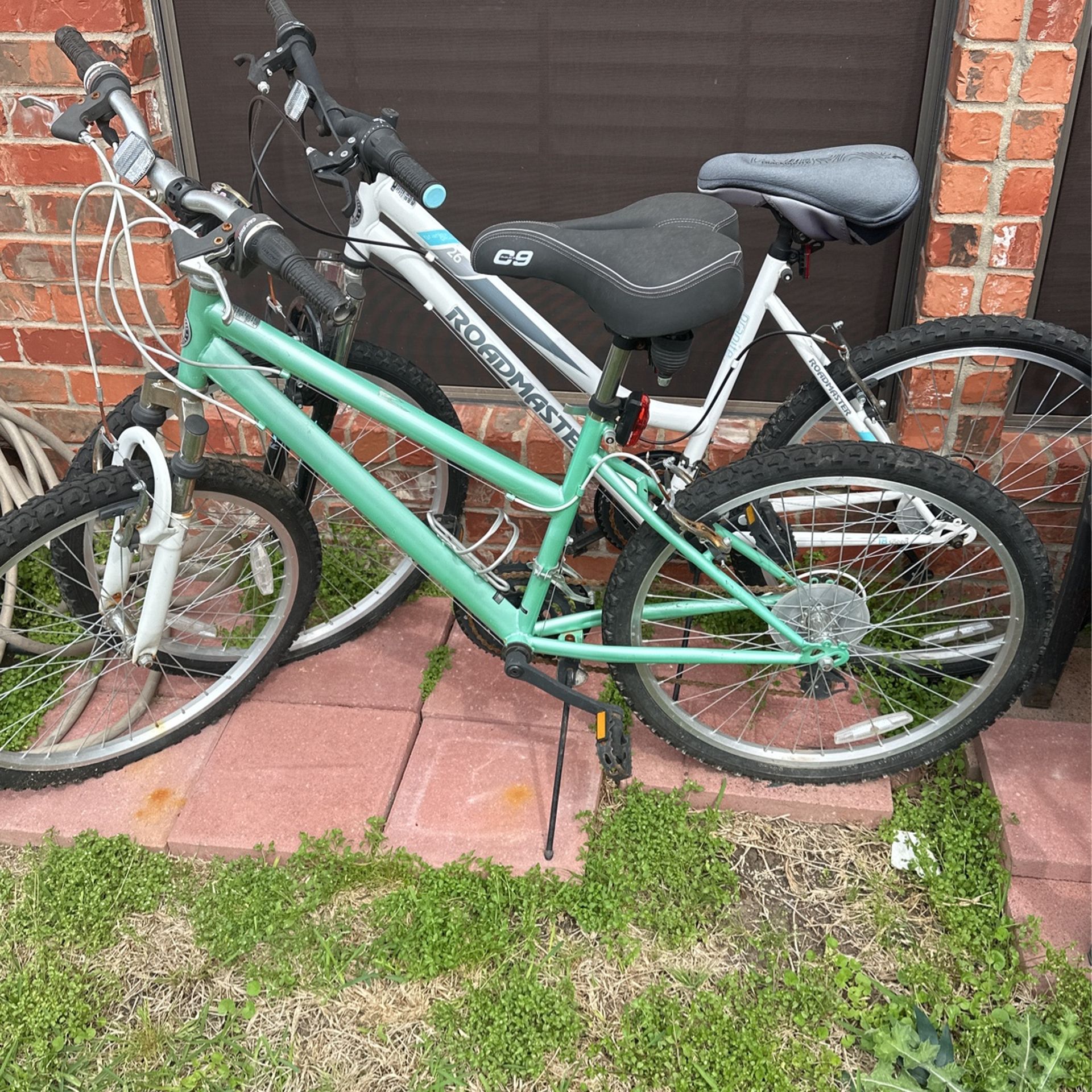 Girls Bicycle 