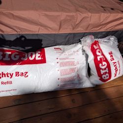 Bean Bag Refill