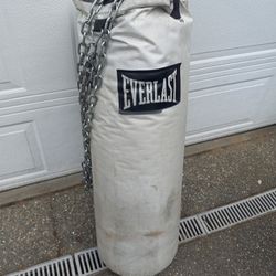 80 lbs Punching Bag and Gloves