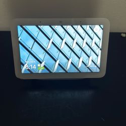 Google Nest Hub 