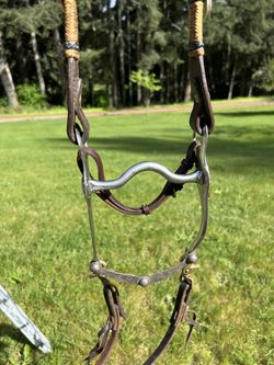 Silver Bridle