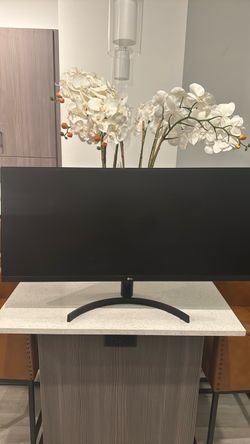 LG Monitor Screen