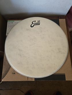 Evans 14in calftone drum head