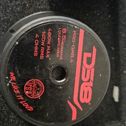 DS 18 Mid Range Speakers