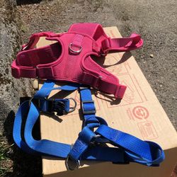 Medium Dog Harnesses