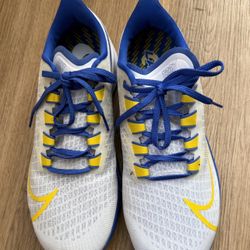 Nike  Air  Zoom Pegasus 37 Los Angeles Rams ( Size 10 )
