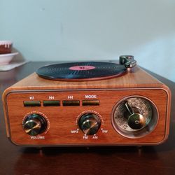 Bluetooth Mini Record Player