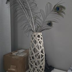 Beautiful Vase With Real Peacock Feathers