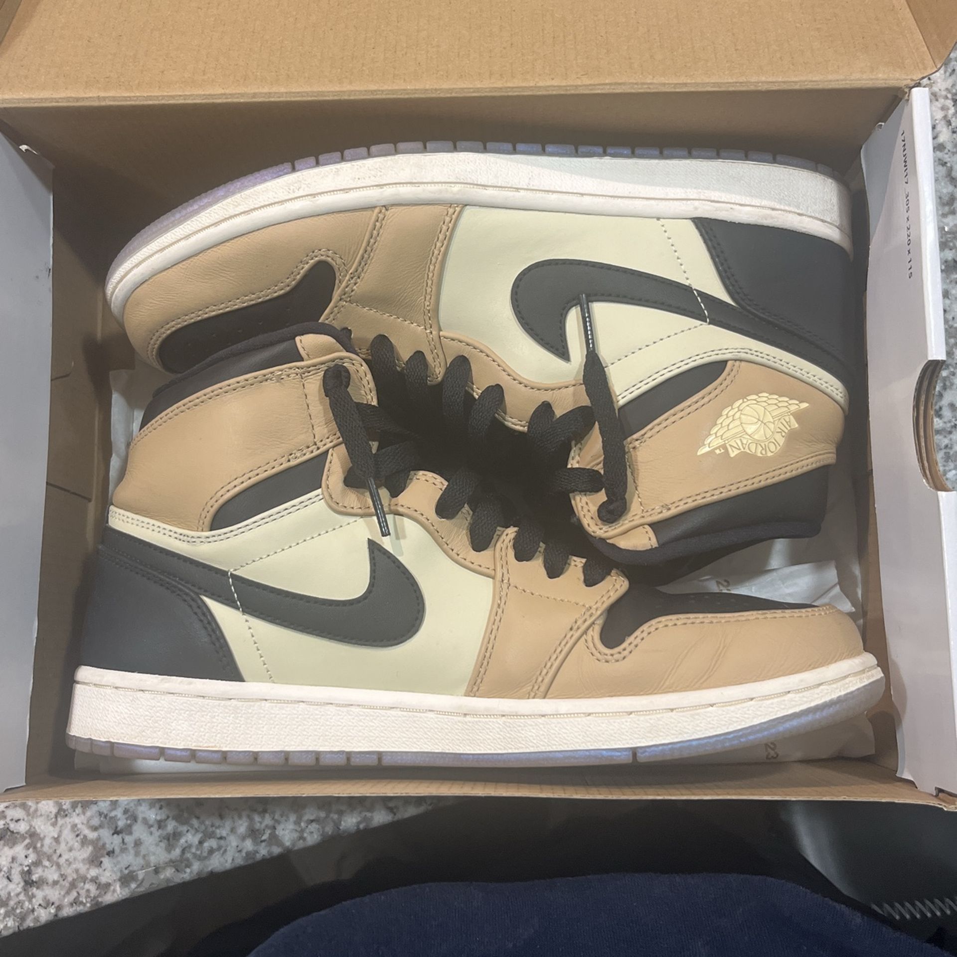 Air Jordan 1 Retro "Black Mushroom"