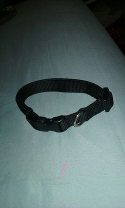 Collar