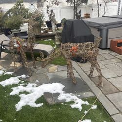 Two deer outdoor Christmas ornaments lights are burnt out on half. You need to replace the burnt out bulbs for it to work again on both Deers.