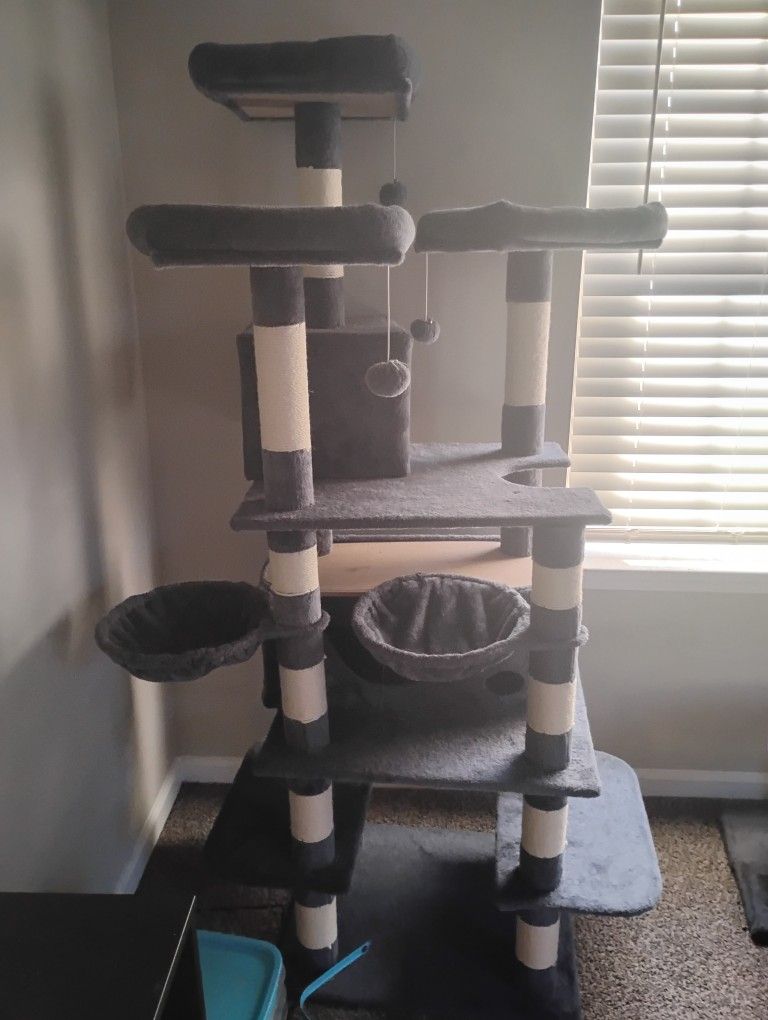 Cat Tree