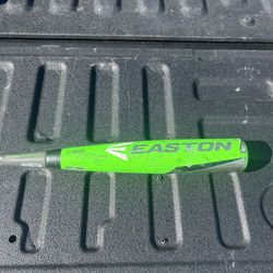 Easton Baseball Bat 31/28