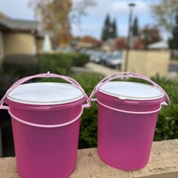 Tupperware Nuevo Mexicano 