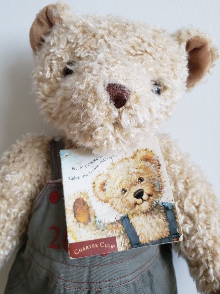 Teddy Bear Plush Charter Club Federated Department Stores Macy's 16" 2000. Condition is Used With Tags
