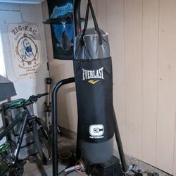 Everlast Punching Bag/ Speed Bag Combo