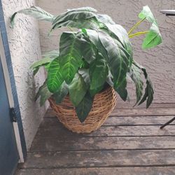 Faux Plant