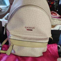 Guess Purse