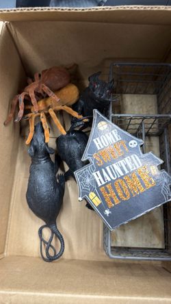 Halloween decoración