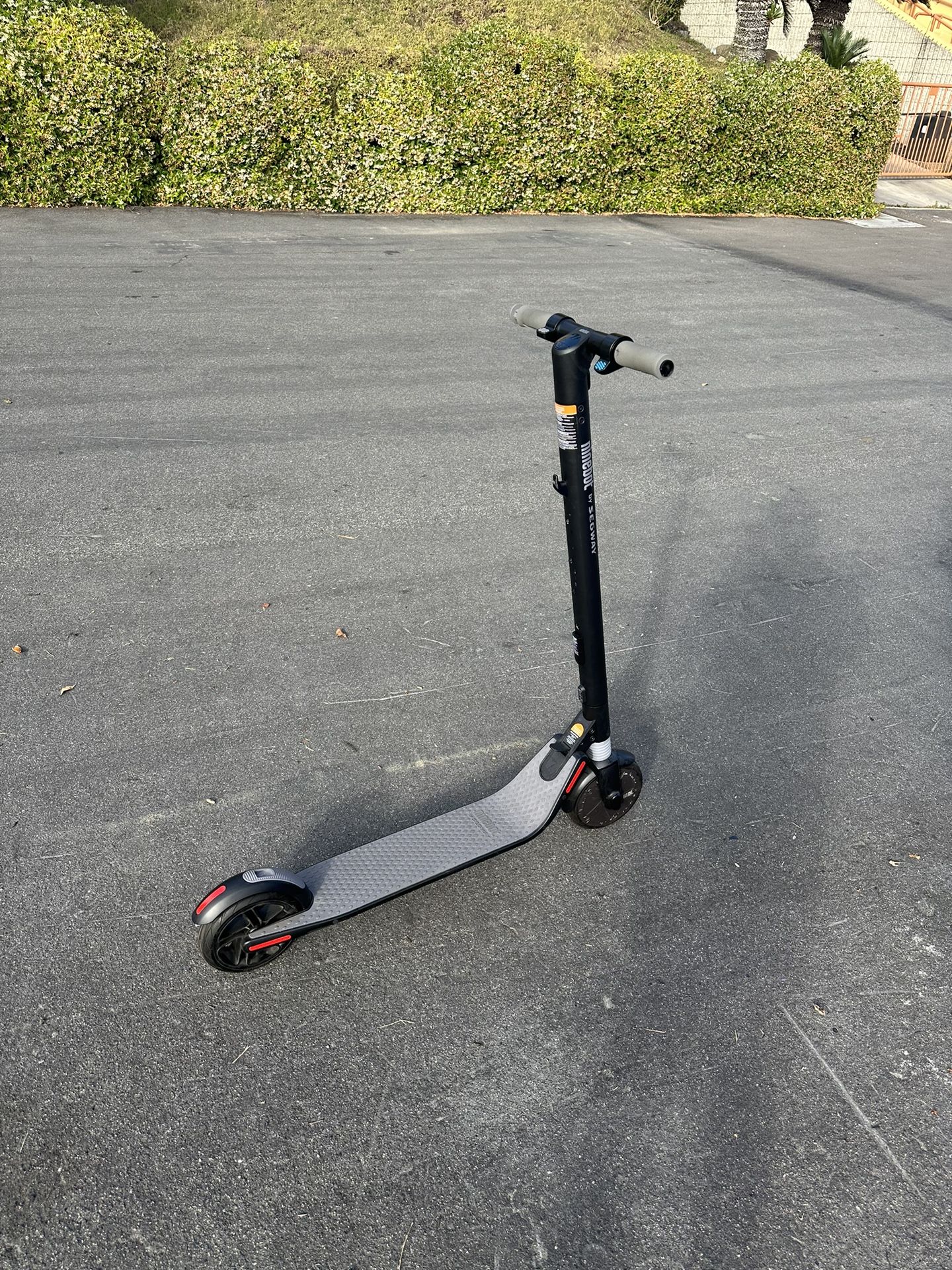Segway Ninebot Scooter From Costco - FREE - Curb Alert Del Mar