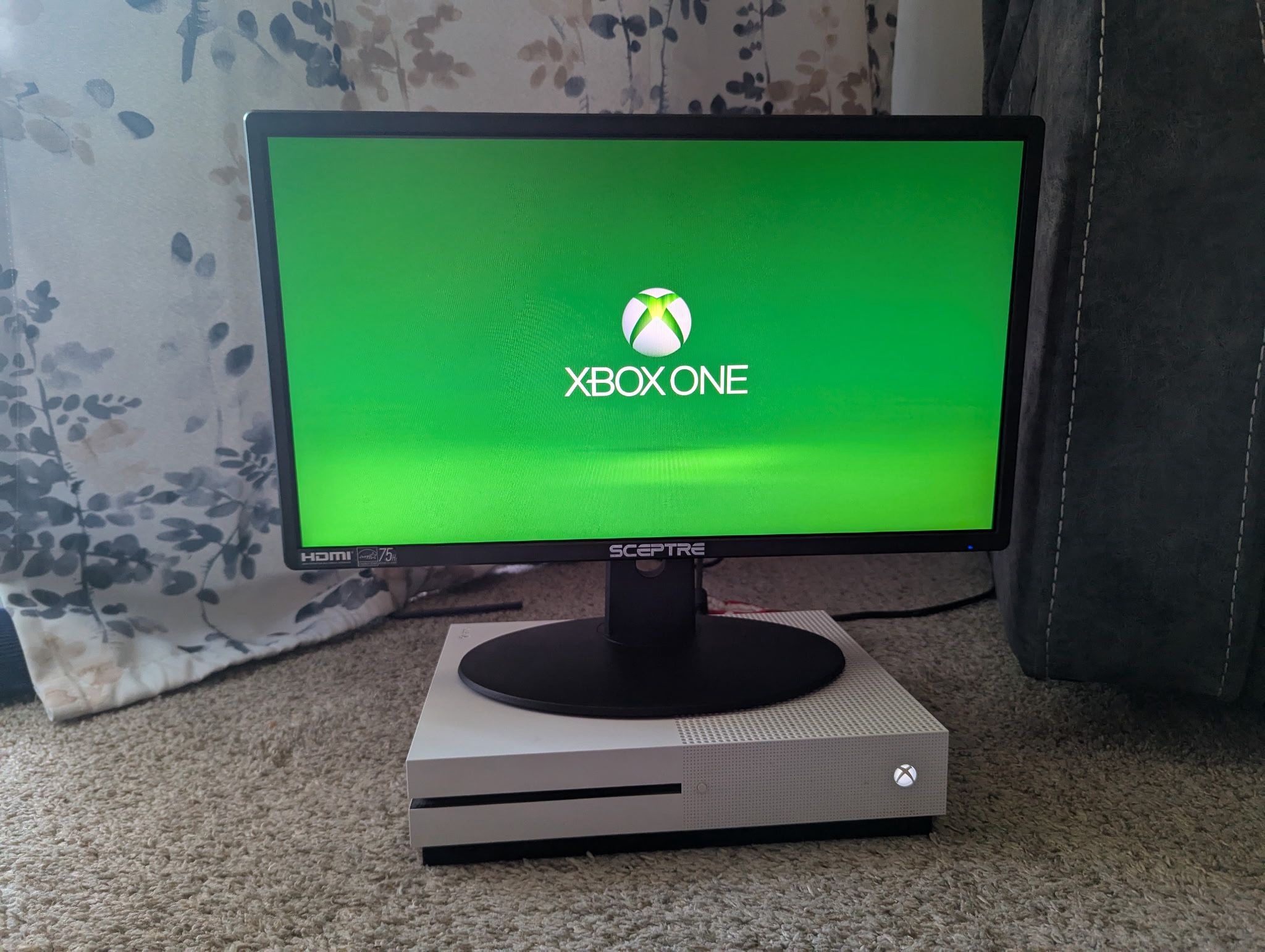 Sceptre 20" LED Monitor