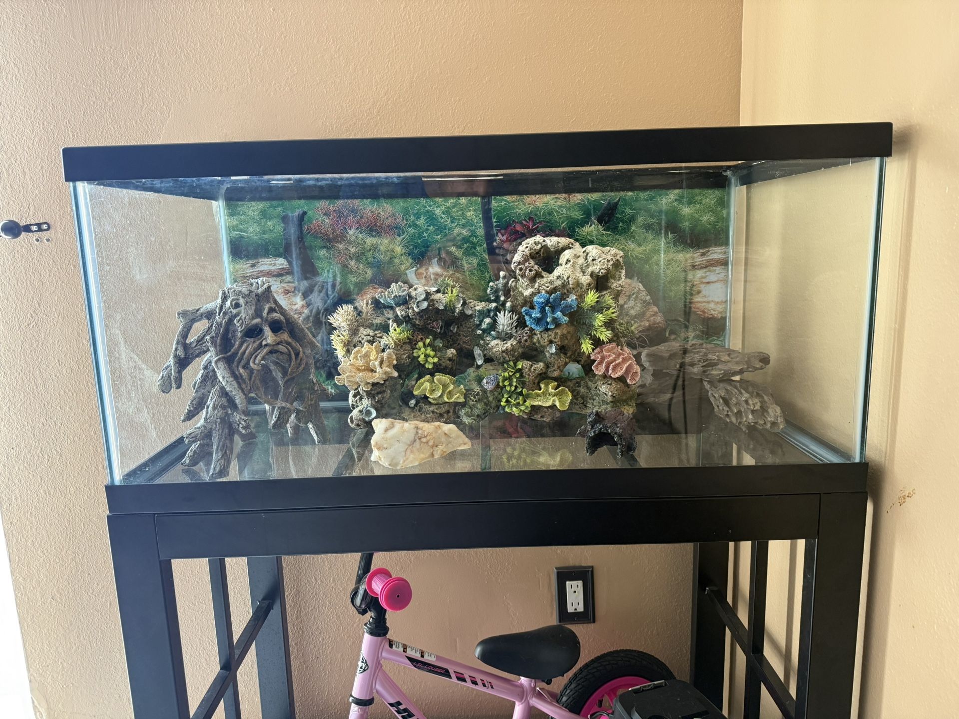 Fish Tank 40 Gallon