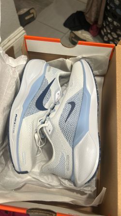 Zoom Pegasus