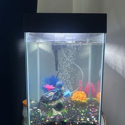 10 gallon fish tank everything included 