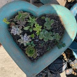 Heart FlowerPots For Sale 