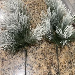 Each Stem Is 30 Inches 