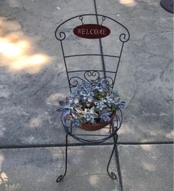 Cute metal welcome chair with pot of ghost plants
