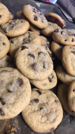 Homemade chocolate chip cookies