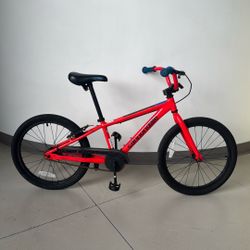 Carbondale Kids Bike 