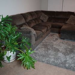 Brantano sectional deals