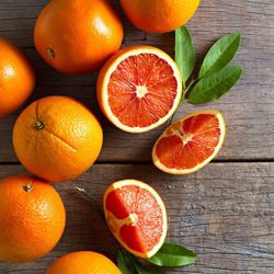 Grafted semi Dwarf cara cara orange trees 😃🌿🌿🍊🍊🍊