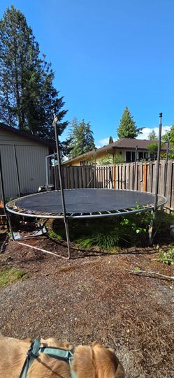 Free trampoline