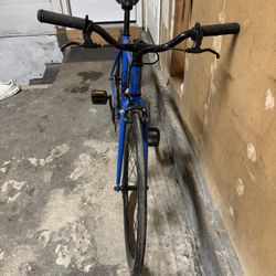 SE Lager Single Speed Bike