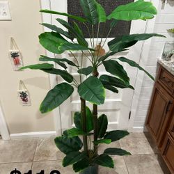 Artificial Plant 5Ft