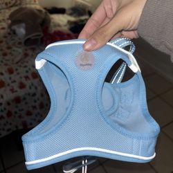 dog leash and harness