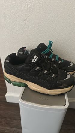 Puma rhude