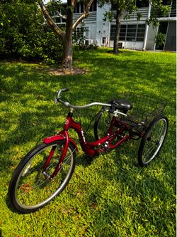 Schwinn Tricycle - S4002 Adult Meridian - Black Cherry
