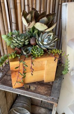 Wood planter