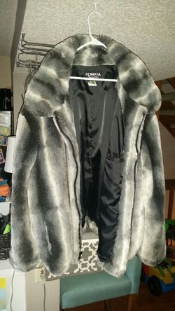 Chinchilla style coat