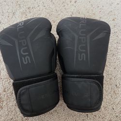 Black 10oz Boxing Gloves
