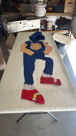 Sonic the hedgehog Costume