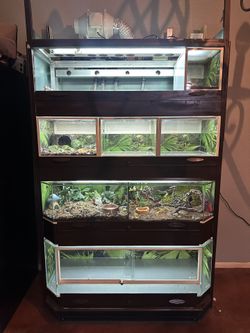 Reptile Terrariums Tanks