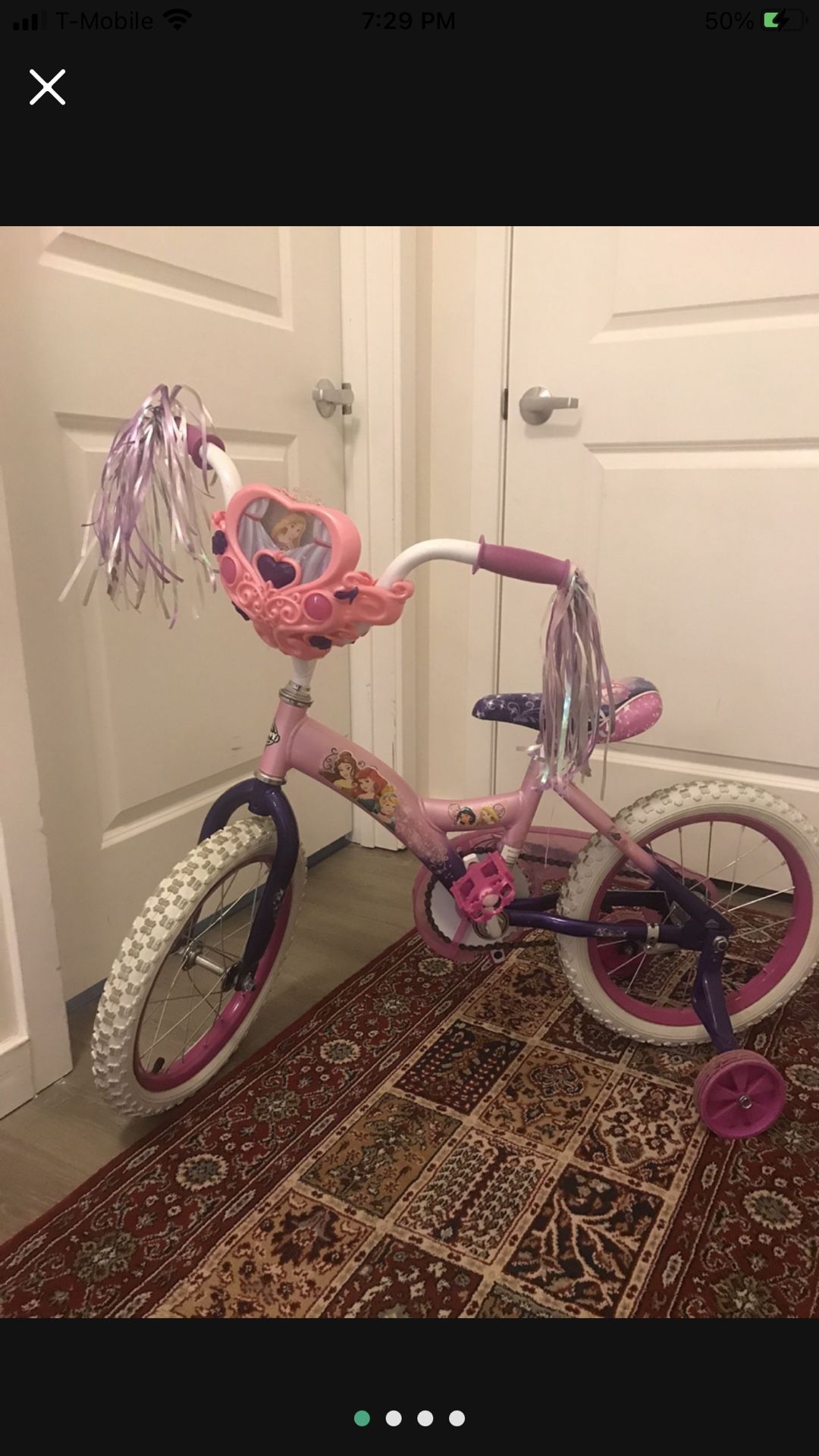 Princess Bike