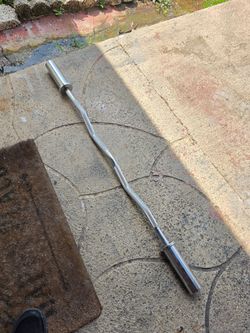 Weight Olympic Curl bar