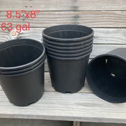 BRAND NEW NURSERY POTS AVAILABLE 